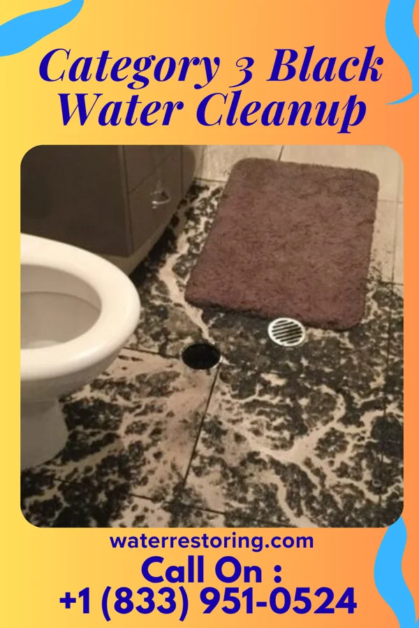 Category 3 Black Water Cleanup in Francis, UT