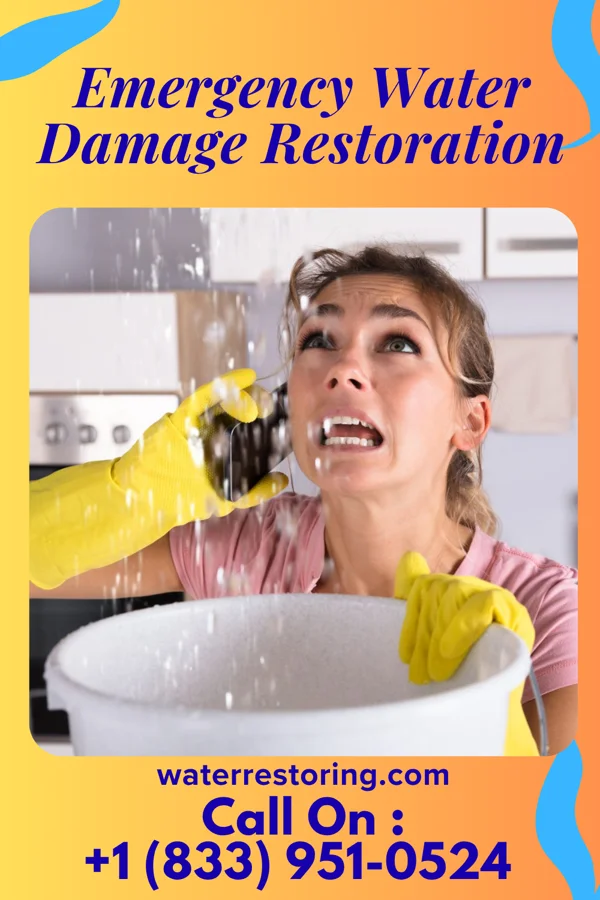 Emergency Water Damage Restoration in Francis, UT