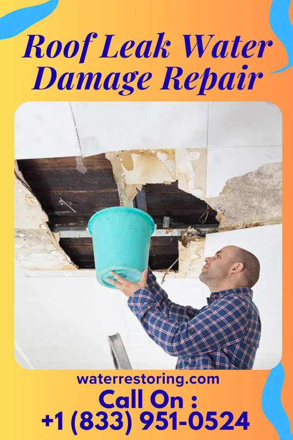 Roof Leak Water Damage Repair in Francis, UT