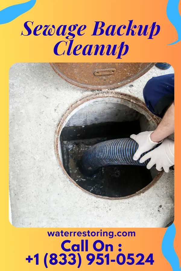 Sewage Backup Cleanup in Francis, UT